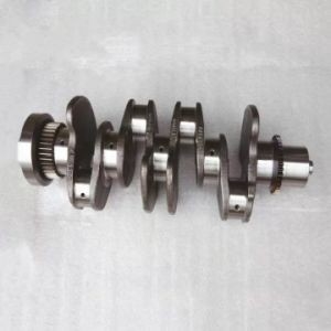 販売後サービス 12200-06J02 ニッサン Td42 エンジンのクランクシャフト